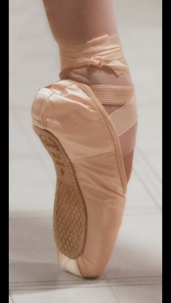 Pointe 1: Full Semester Spring – MotionArts Dance Academy